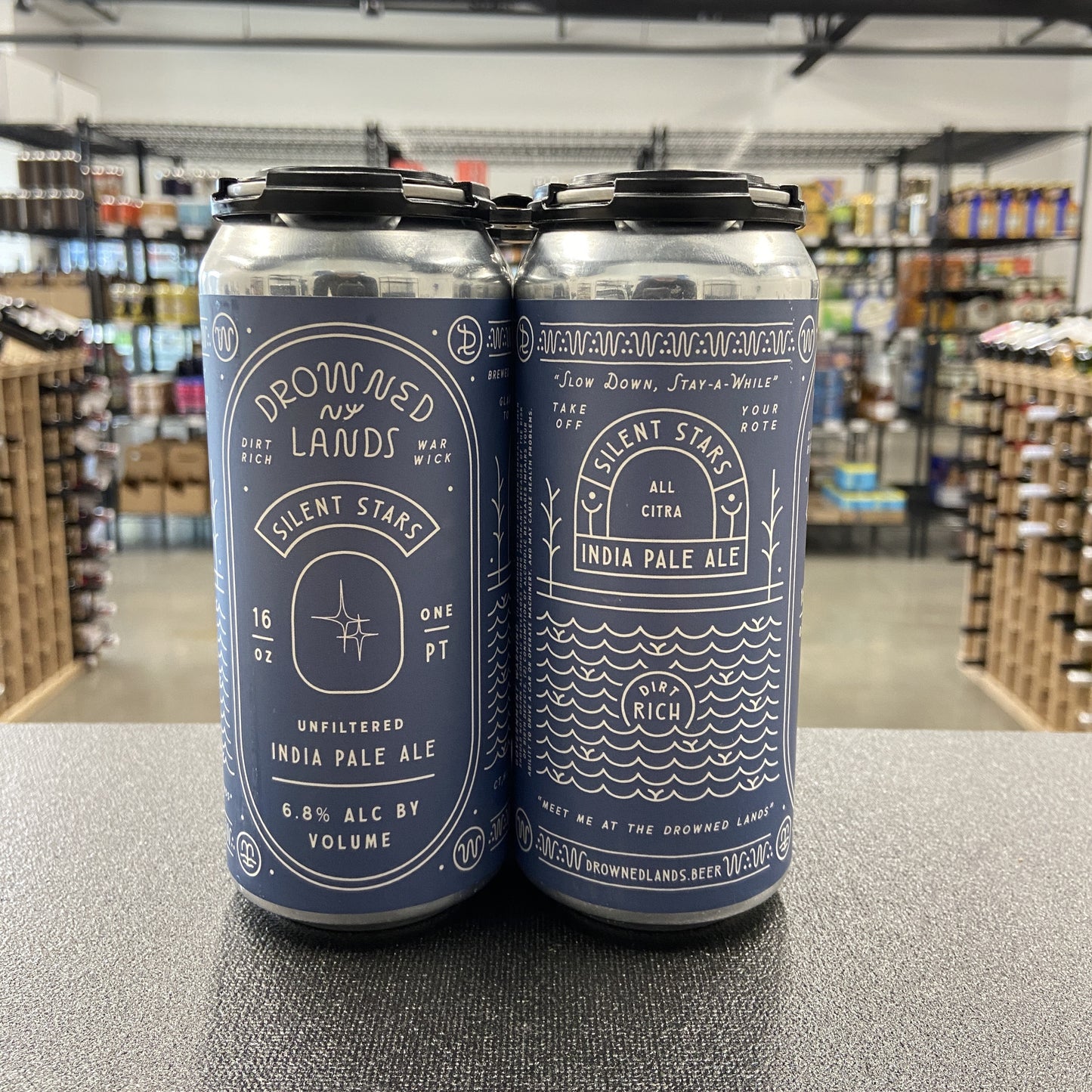 Drowned Lands Silent Stars