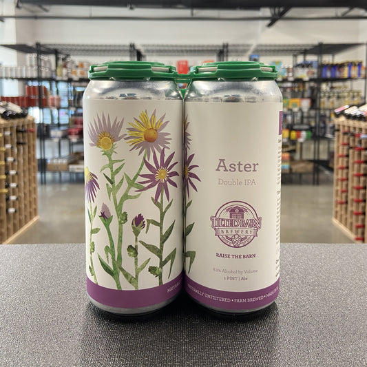 Tilted Barn Aster