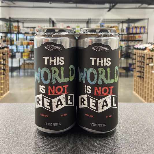 The Veil This World Is Not Real